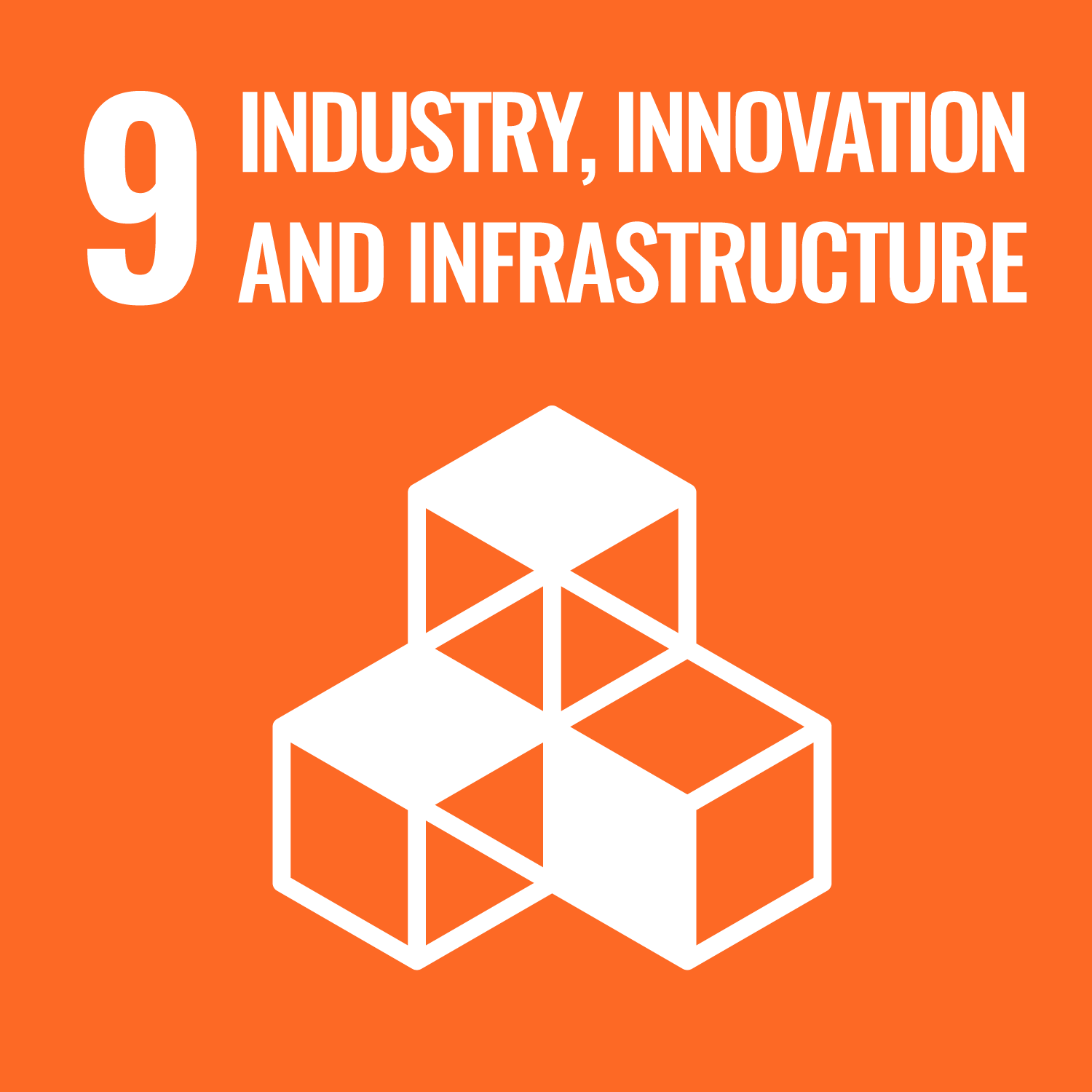 SDG 9 Icon